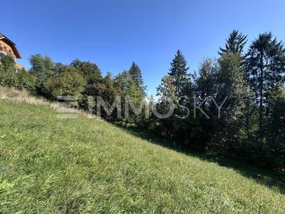 Grundstück kaufen in 9212 Techelsberg (Bild 3)