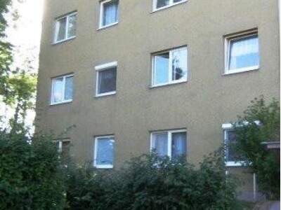 Halle / Lager / Produktion mieten in 4225 Luftenberg (Bild 1)