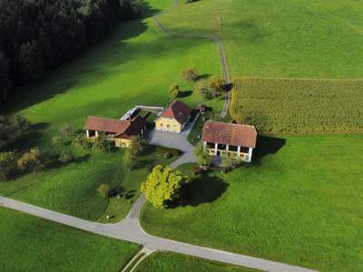 Gewerbeobjekt kaufen in 9431 Thürn