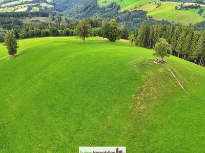 Grundstück kaufen in 4554 Oberschlierbach (Bild 4)