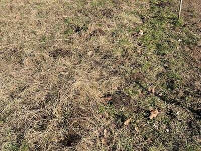 Grundstück kaufen in 2231 Strasshof (Bild 4)