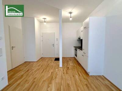 Terrassenwohnung mieten in 1220 Wien (Bild 3)