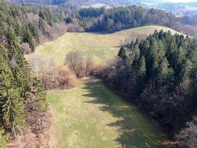 Jagd- und Forstwirtschaft kaufen in 9062 Moosburg (Bild 3)