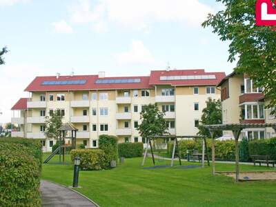 Wohnung mieten in 4560 Kirchdorf (Bild 4)