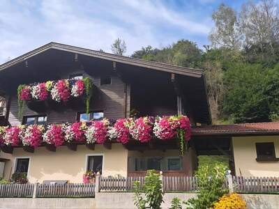 Haus provisionsfrei kaufen in 5722 Niedernsill