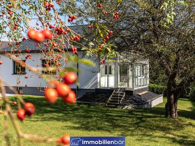 Haus kaufen in 4910 Ried