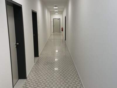 Gewerbeobjekt mieten in 2340 Mödling (Bild 3)