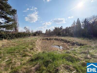 Grundstück kaufen in 1230 Wien (Bild 5)