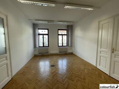 Gewerbeobjekt mieten in 1060 Wien (Bild 3)