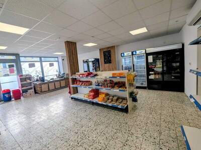 Gewerbeobjekt mieten in 4600 Thalheim (Bild 2)