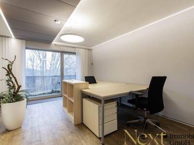 Büro / Praxis mieten in 4291 Lasberg (Bild 5)
