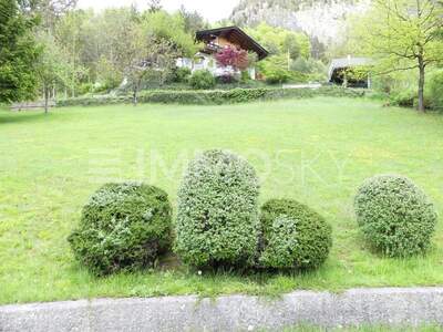 Grundstück kaufen in 5440 Scheffau (Bild 4)