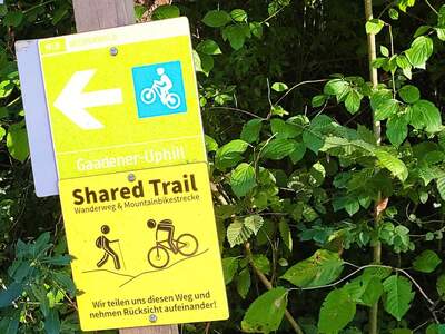 Grundstück kaufen in 2531 Gaaden (Bild 5)