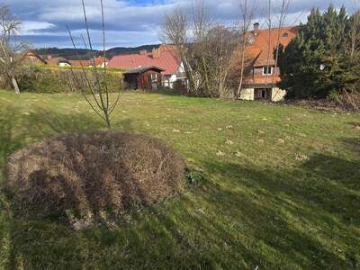 Haus mit Garten kaufen in 8250 Vorau (Bild 5)