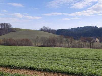 Grundstück kaufen in 4084 Sankt Agatha