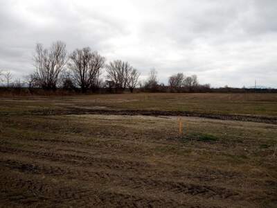 Grundstück kaufen in 2486 Siegersdorf (Bild 2)