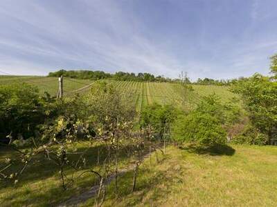 Grundstück kaufen in 1190 Wien