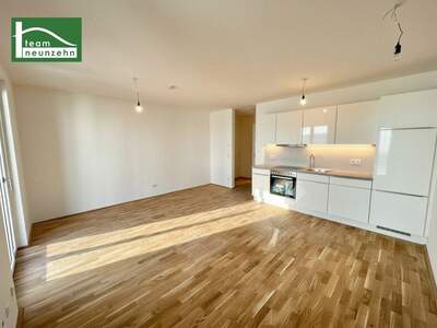 Terrassenwohnung mieten in 1160 Wien (Bild 4)