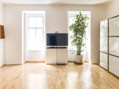 Altbauwohnung mieten in 1060 Wien (Bild 1)