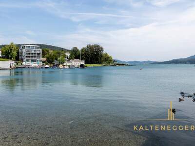 Eigentumswohnung in 9220 Velden