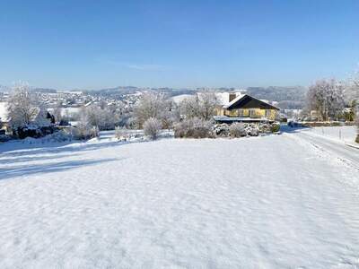 Grundstück kaufen in 5163 Mattsee