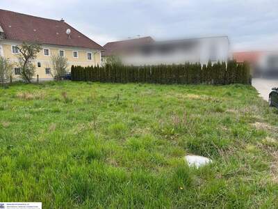 Grundstück kaufen in 4063 Breitbrunn (Bild 2)