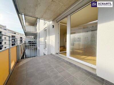 Terrassenwohnung mieten in 8020 Graz (Bild 5)