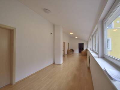 Gewerbeobjekt mieten in 4040 Linz (Bild 2)