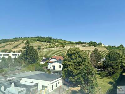 Wohnung kaufen in 3400 Klosterneuburg