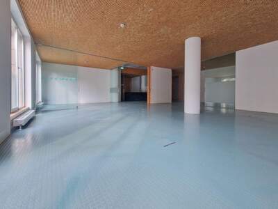 Gewerbeobjekt mieten in 5020 Salzburg (Bild 2)