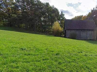 Grundstück provisionsfrei kaufen in 7441 Pilgersdorf