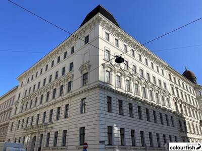Gewerbeobjekt mieten in 1010 Wien (Bild 1)