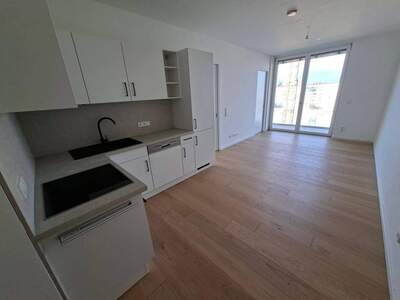 Wohnung provisionsfrei mieten in 1020 Wien