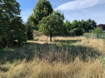 Grundstück kaufen in 7202 Bad Sauerbrunn (Bild 2)