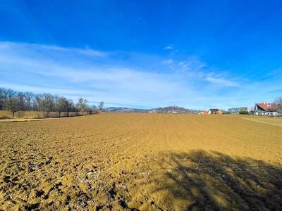 Anlageobjekt kaufen in 4060 Leonding