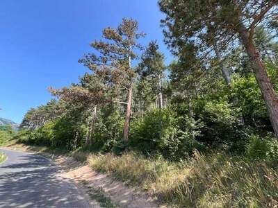 Gewerbeobjekt kaufen in 2732 Höflein