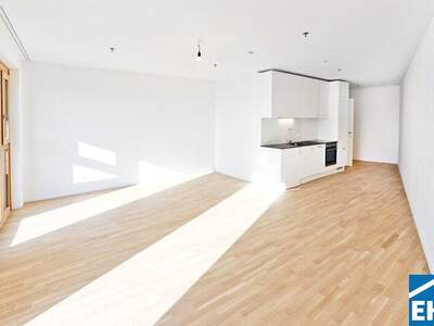 Terrassenwohnung mieten in 1100 Wien (Bild 2)