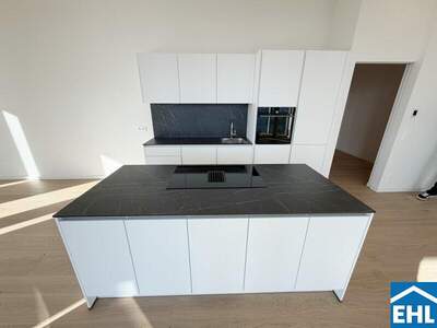 Terrassenwohnung mieten in 1220 Wien (Bild 5)