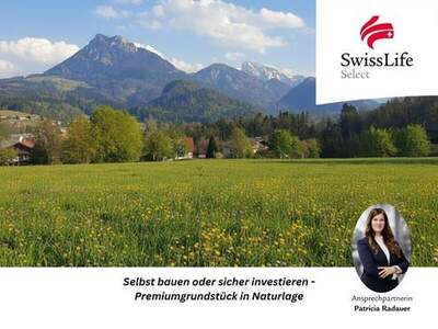 Grundstück kaufen in 5322 Hof