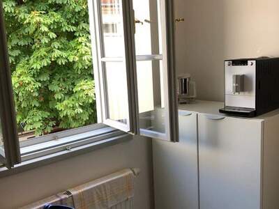 Gewerbeobjekt mieten in 3270 Scheibbs (Bild 2)