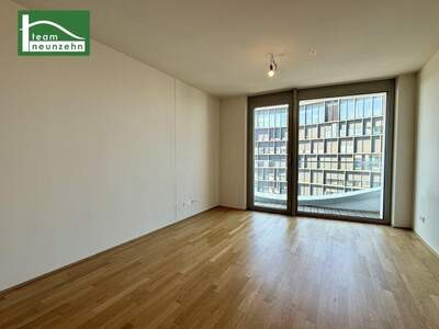 Terrassenwohnung mieten in 1100 Wien (Bild 1)