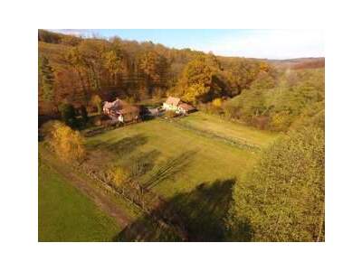 Haus provisionsfrei kaufen