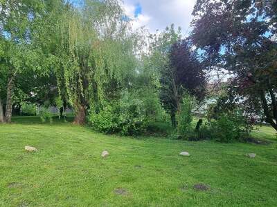 Grundstück kaufen in 3464 Hausleiten (Bild 3)