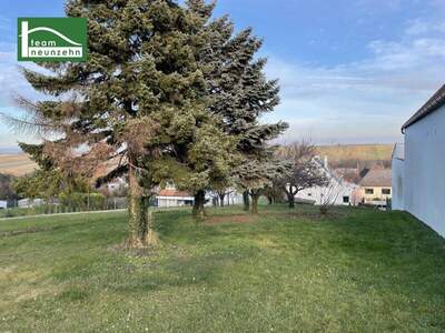 Einfamilienhaus kaufen in 7013 Klingenbach (Bild 4)