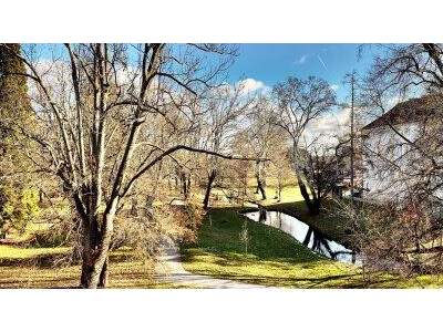 Wohnung mieten in 2540 Bad Vöslau (Bild 2)