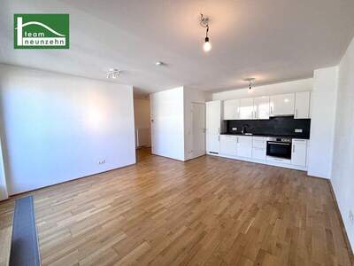 Terrassenwohnung mieten in 1030 Wien (Bild 1)