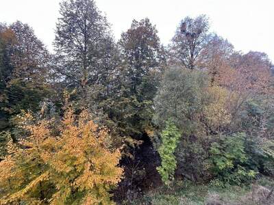 Einfamilienhaus kaufen in 8541 Schwanberg (Bild 4)