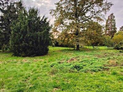 Grundstück kaufen in 1210 Wien (Bild 3)