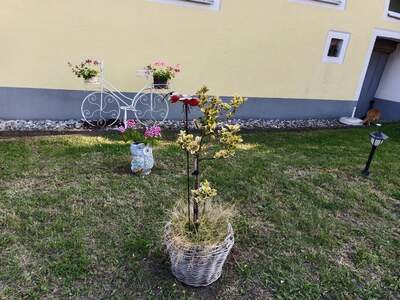 Einfamilienhaus kaufen in 3730 Eggenburg (Bild 4)