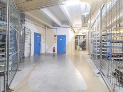 Halle / Lager / Produktion mieten in 4052 Ansfelden